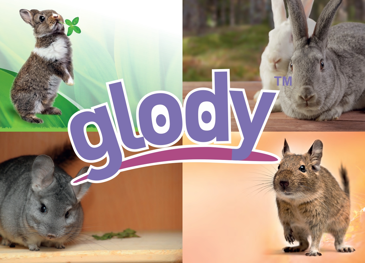 glody-frontpage